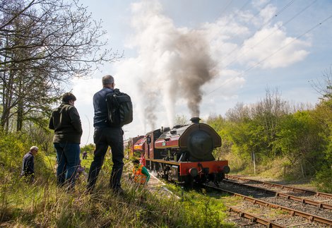 Onlookers watch a steam train go by at a heritage railway.