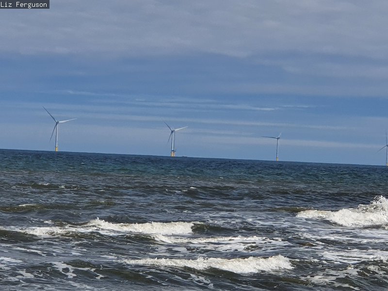 from the beach looking out to wind turbines at sea