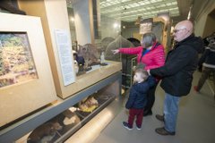A family in the living planet gallery 