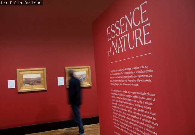 "Photograph of Gallery entrance. Essence of Nature on a red wall with 2 paintings hanging on a wall in the distance