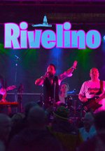 Members of a rock band in concert