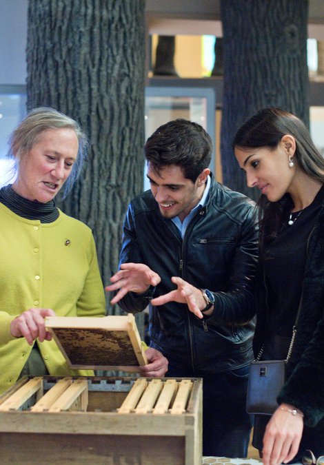 Visitors at a public engagement event