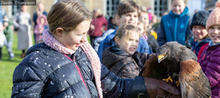 Children outside holding birds of prey at Woodorn 