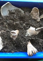 Replica artefacts in a box with some soil