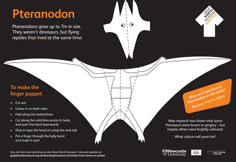 GNM Pteranodon puppet