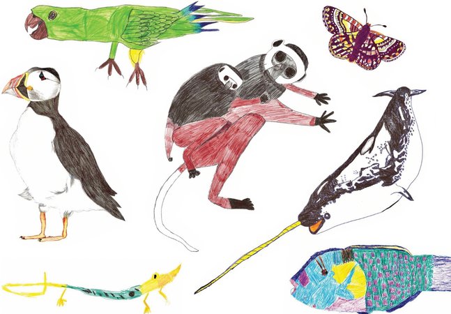 Collage of children's drawings of various wild animals