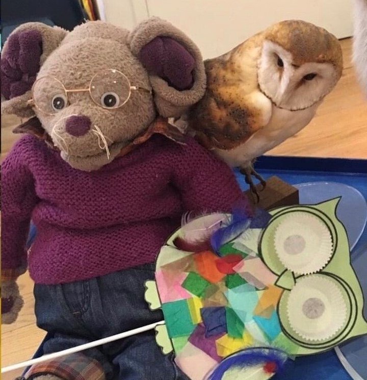 Albany and Owl craft
