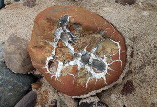 Pebbles on the beaches of Northumberland